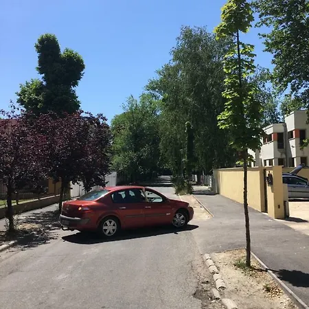 Paddy Towers * Σίοφοκ